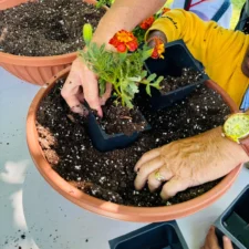 61420ad8-e265-4673-a4fc-5cf6c5f46e5a