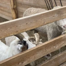 PHOTO-2022-10-12-17-44-54