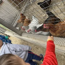 PHOTO-2022-10-12-17-44-57