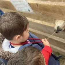 PHOTO-2022-10-12-17-44-57_1