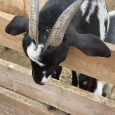 PHOTO-2022-10-12-17-44-58