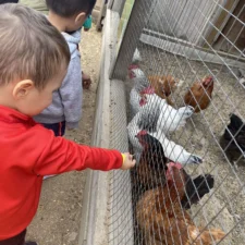 PHOTO-2022-10-12-17-44-58_1