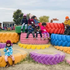 PHOTO-2022-10-12-17-45-00_2