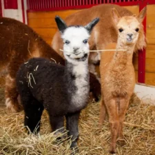 PHOTO-2023-07-05-14-46-03_3