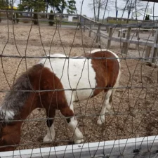 PHOTO-2023-07-05-14-46-03_7