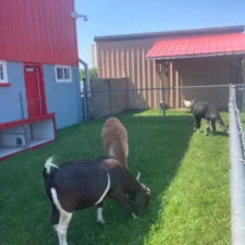 PHOTO-2023-07-05-14-46-03_8